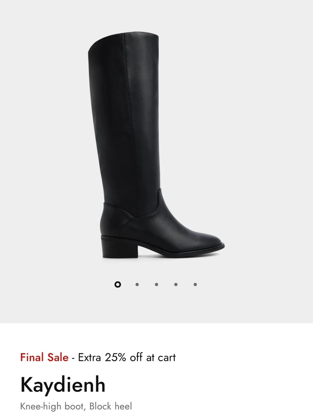 Aldo Kaydienh Black Knee-High Block Heel Boot